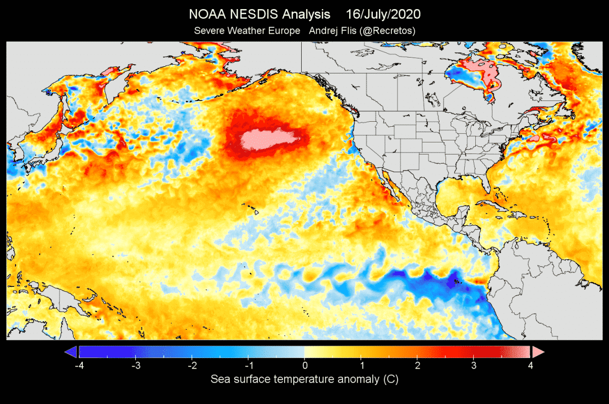Ocean-heatwave-north-pacific-july-2020-temperature-anomaly-analysis