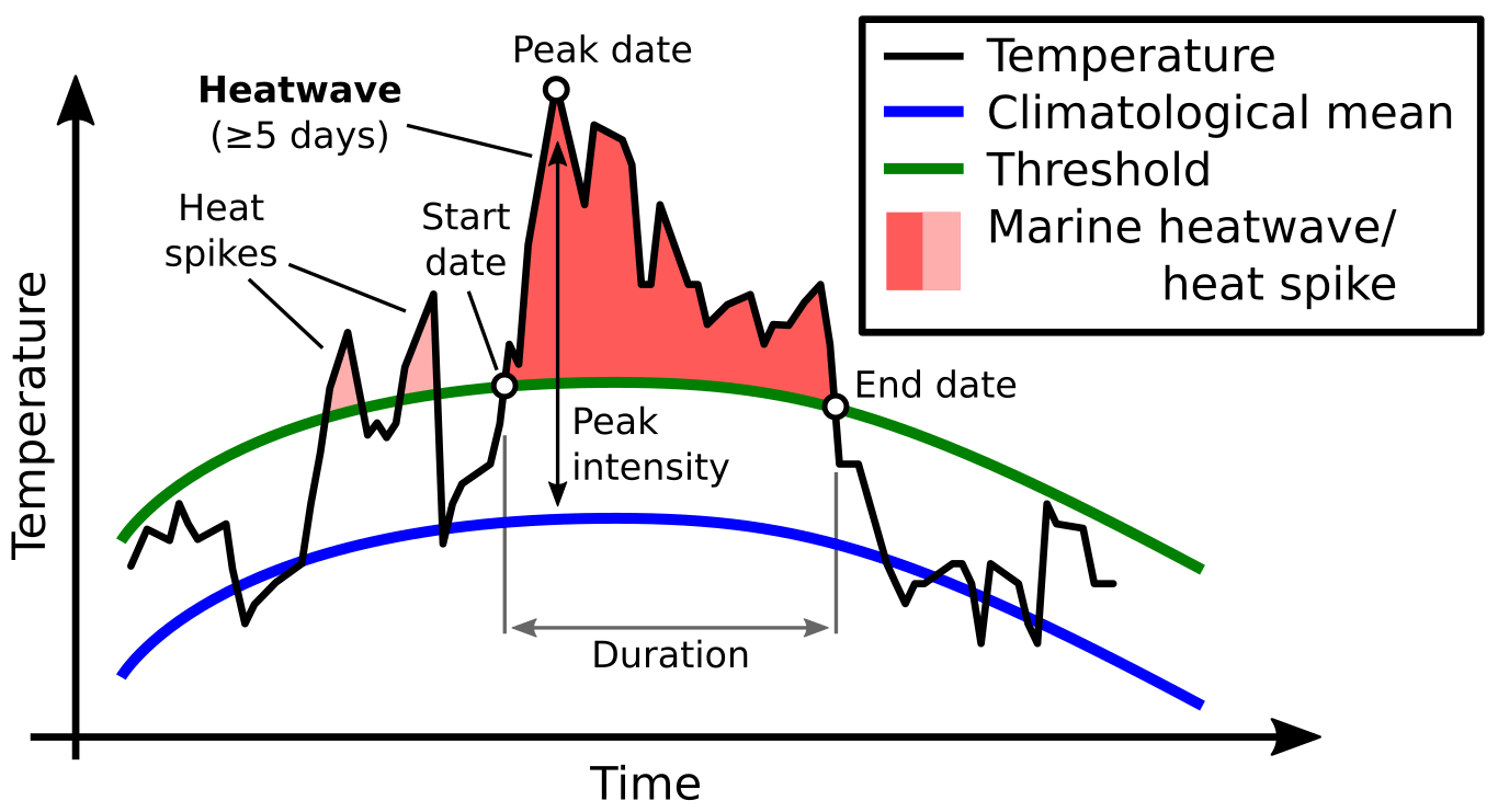 Ocean-marine-heatwave-expected-progress-graph