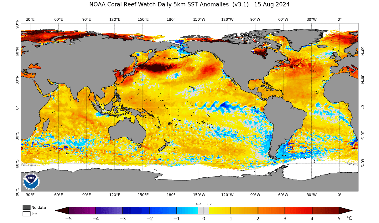 atlantic-hurricane-season-2024-ernesto-bermuda-extratropical-storm-europe-uk-sea-temperatire-anomaly