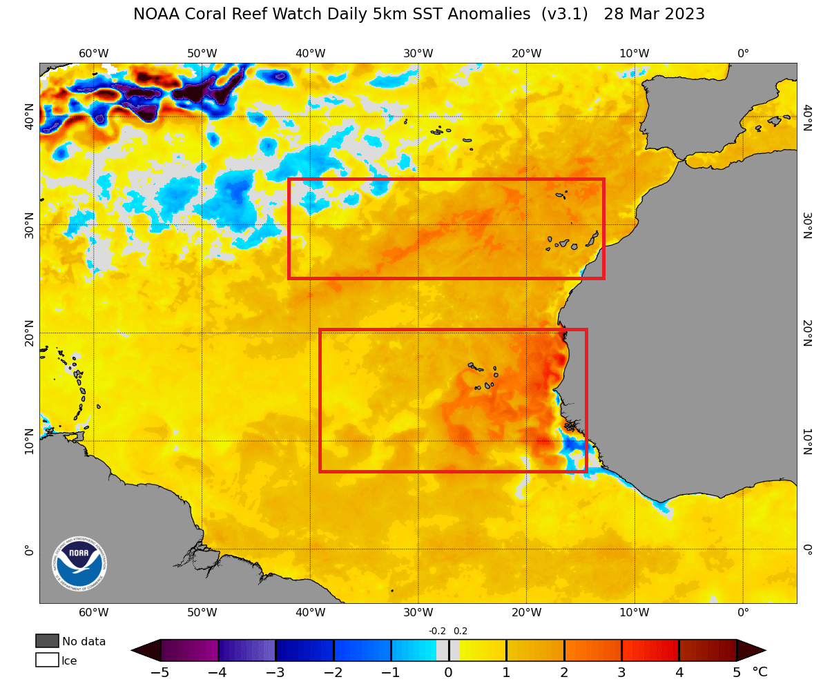 atlantic-ocean-surface-temperature-anomaly-analysis-usa-influence-noaa-march