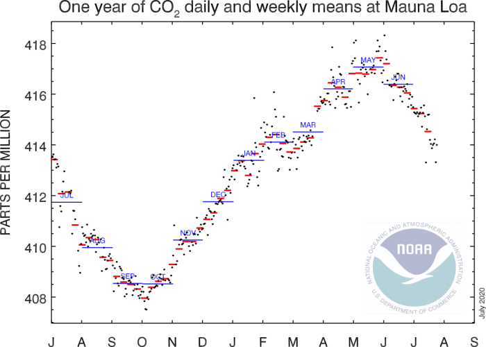 global-co2-year-cycle