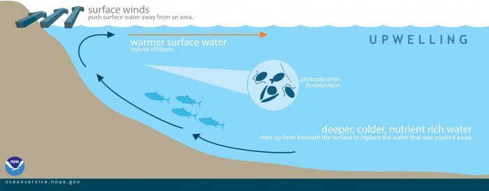 la-nina-enso-winter-forecast-jet-stream-united-states-europe-ocean-upwelling