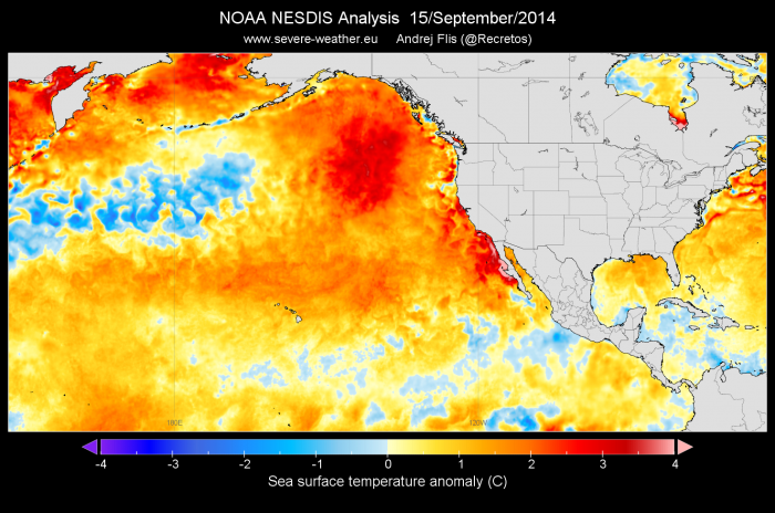 ocean-heatwave-september-2014-pacific