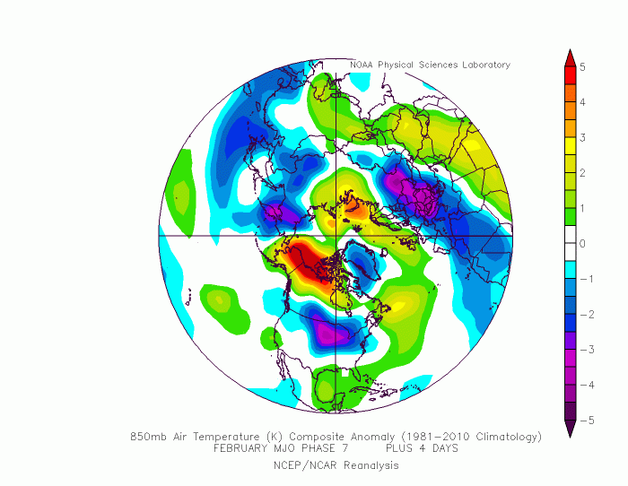 weather-forecast-february-united-states-europe-temperature-anomaly-composite