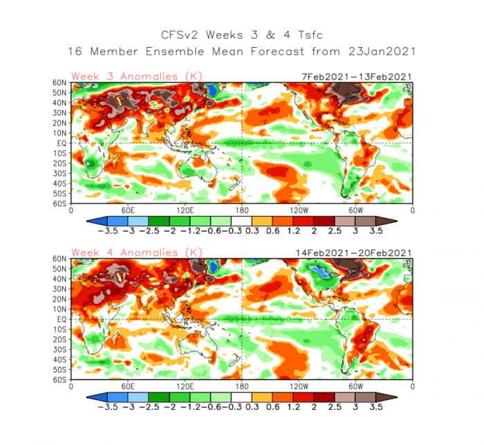 weather-forecast-february-united-states-europe-temperature-mid-month
