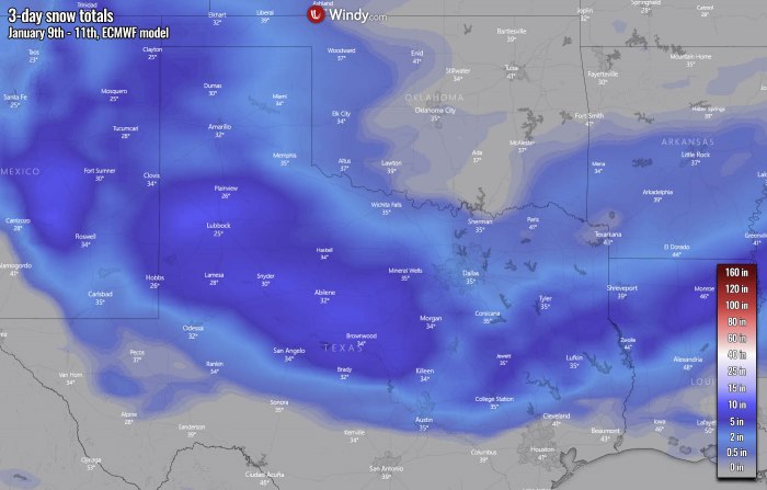 winter-storm-texas-snow-united-states-ecmwf-model