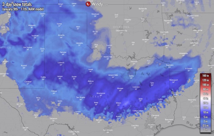 winter-storm-texas-snow-united-states-nam-model