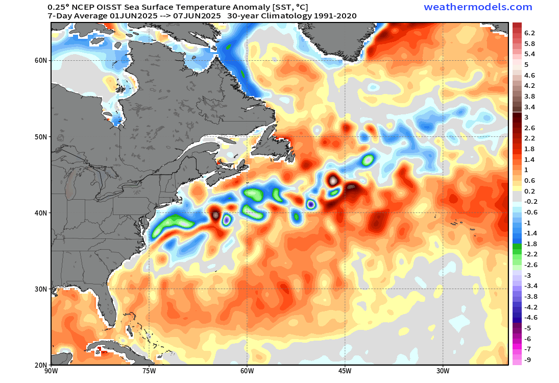 cold-anomaly-atlantic-united-states-canada-winter-impact-surface-ocean-temperature-7-day-average