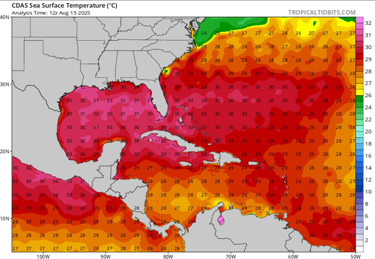 stagione-uragani-2025-erin-tempesta-maggiore-agosto-2025-golfo-temperatura-mare