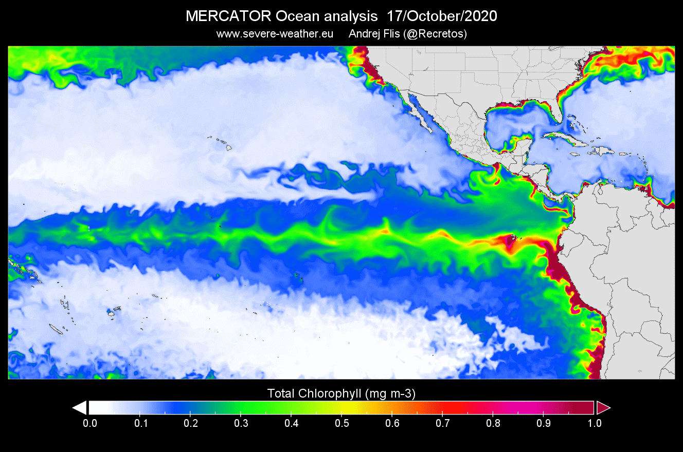 la-nina-watch-chlorophyll-concentration-ocean-north-america