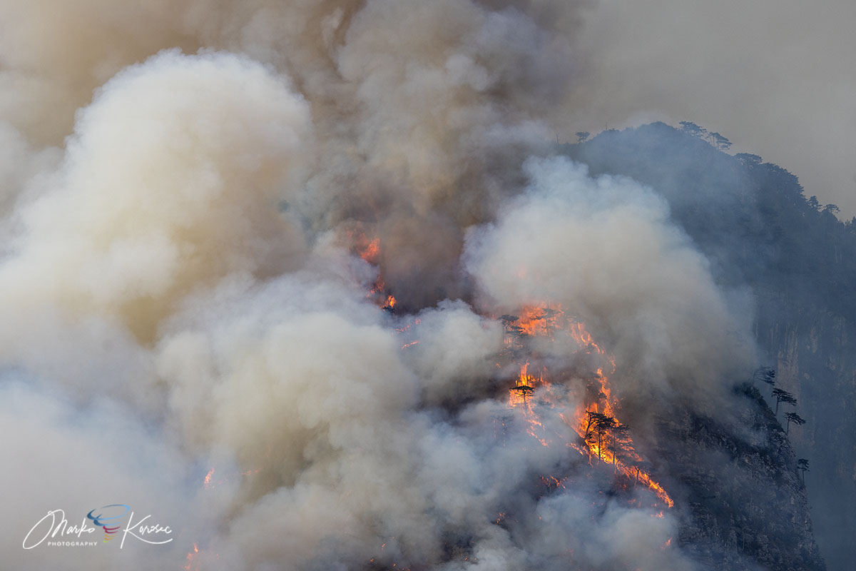monte-amariana-wildfire-containment-tolmezzo-carnia-italy-august-2026-blazing-fire