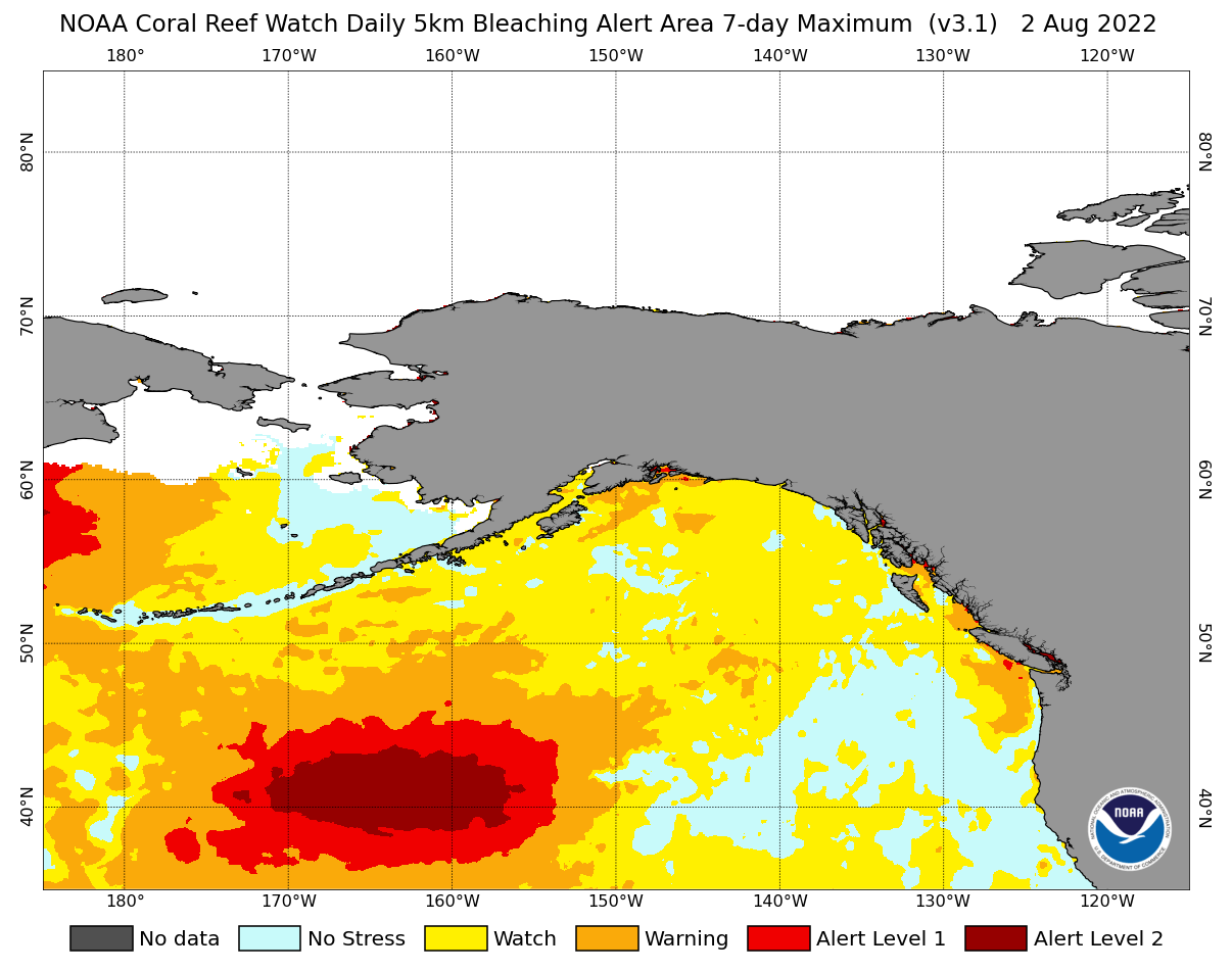 north-pacific-ocean-heatwave-coral-bleaching-alert-level-analysis-latest-early-august