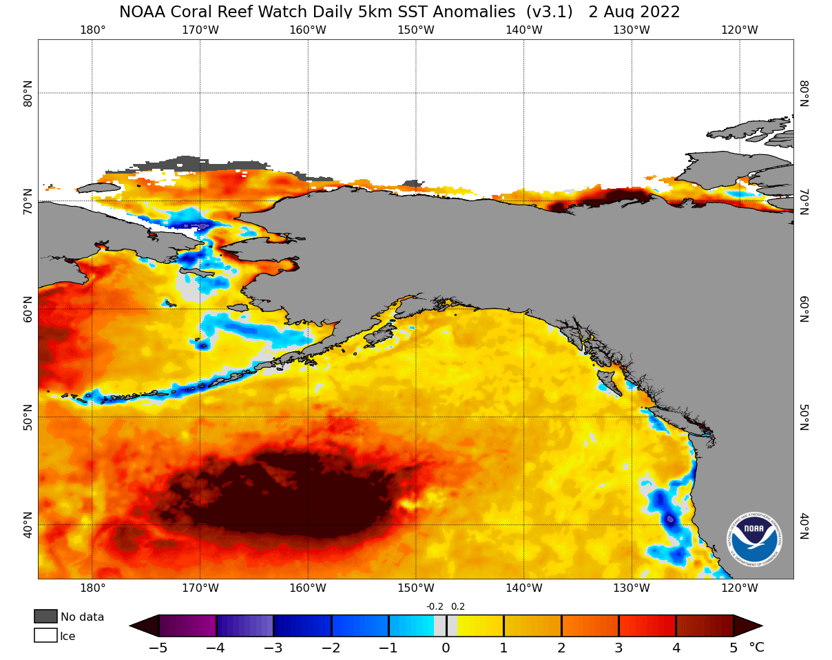 north-pacific-ocean-heatwave-temperature-sst-anomaly-analysis-latest-early-august