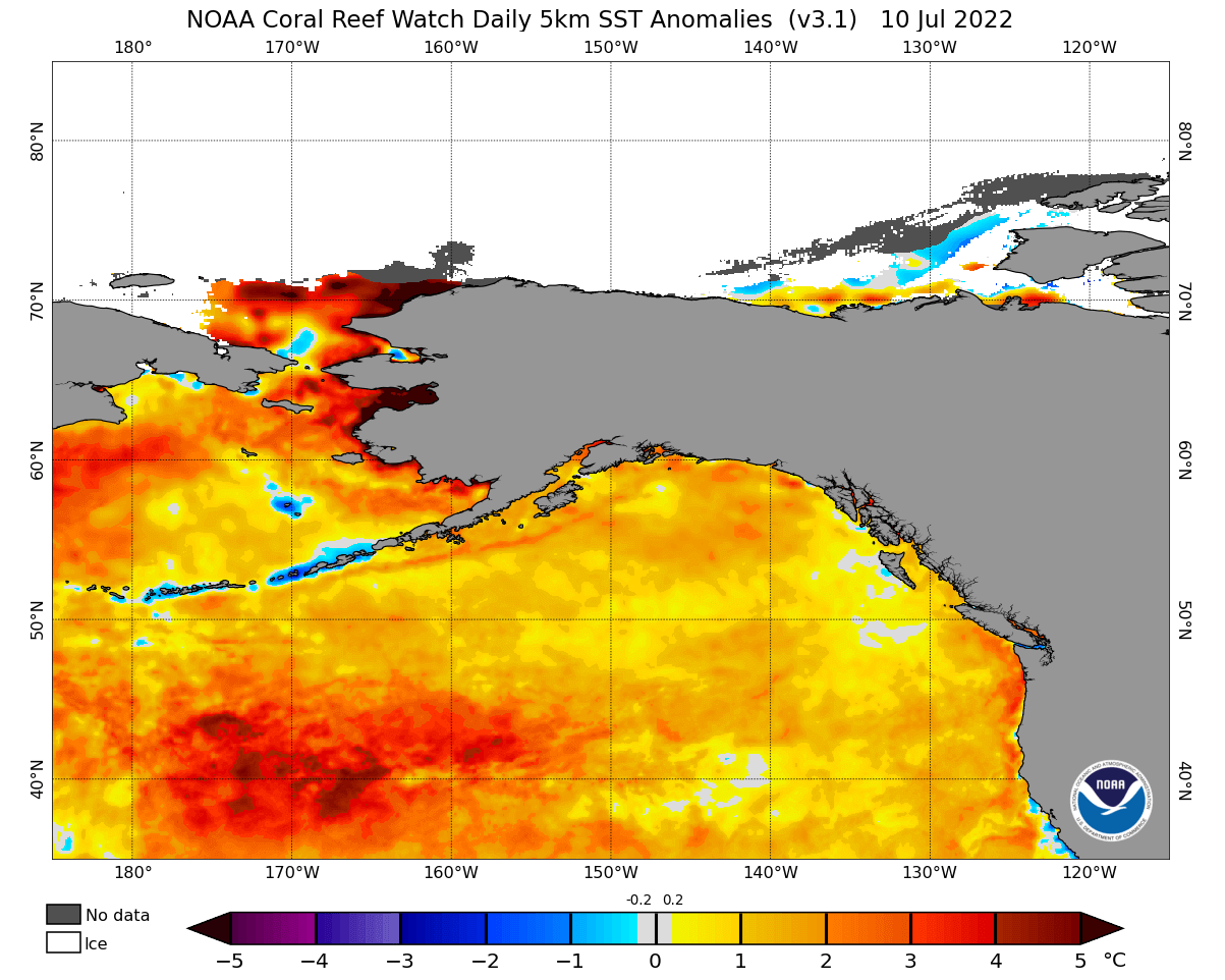 north-pacific-ocean-heatwave-temperature-warm-anomaly-early-july