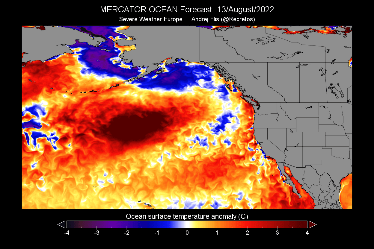 north-pacific-ocean-heatwave-temperature-warm-anomaly-forecast-mid-august