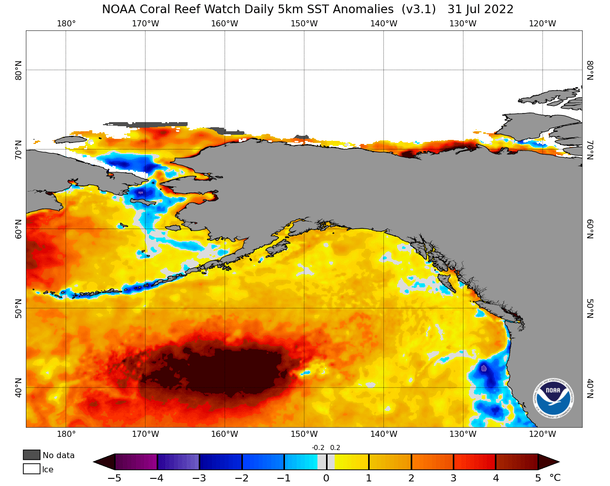 north-pacific-ocean-heatwave-temperature-warm-anomaly-late-july