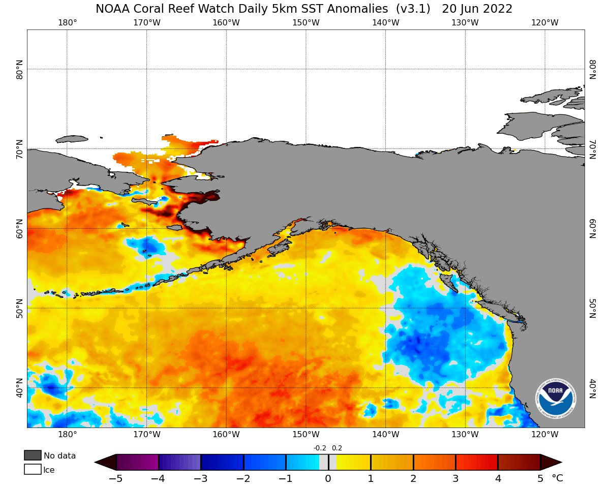 north-pacific-ocean-heatwave-temperature-warm-anomaly-north-america-mid-june