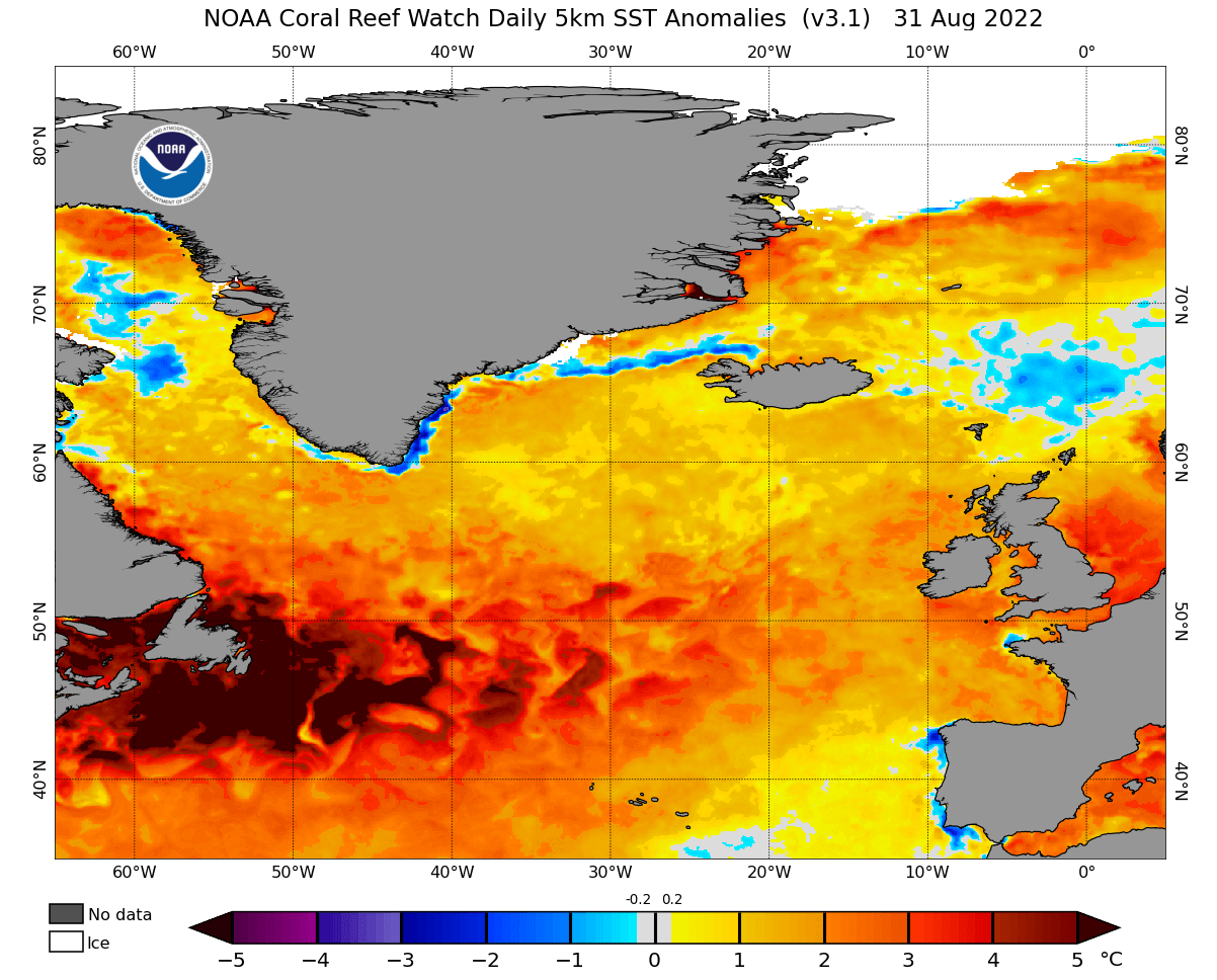 ocean-temperature-anomaly-north-atlantic-weather-united-states-late-august-sst