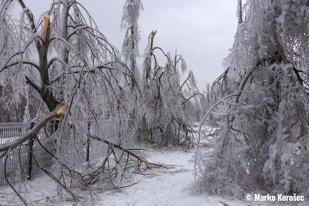 polar-vortex-2022-extreme-temperature-winter-storm-nancy-oaklee-united-states-ice