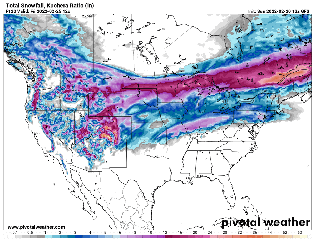 polar-vortex-2022-extreme-temperature-winter-storm-nancy-oaklee-united-states-snow