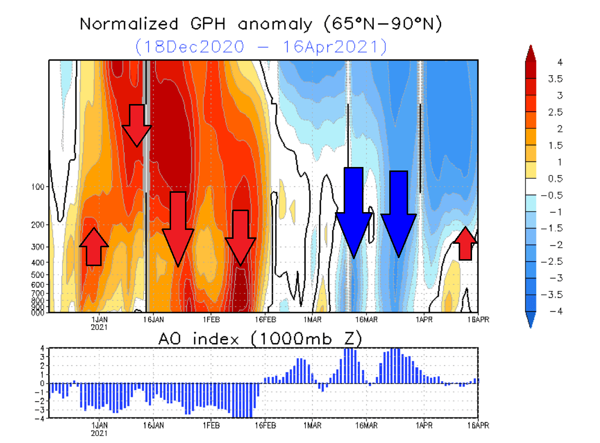 polar-vortex-arctic-oscillation-vertical-analysis-pressure-anomaly-winter-stratospheric-warming