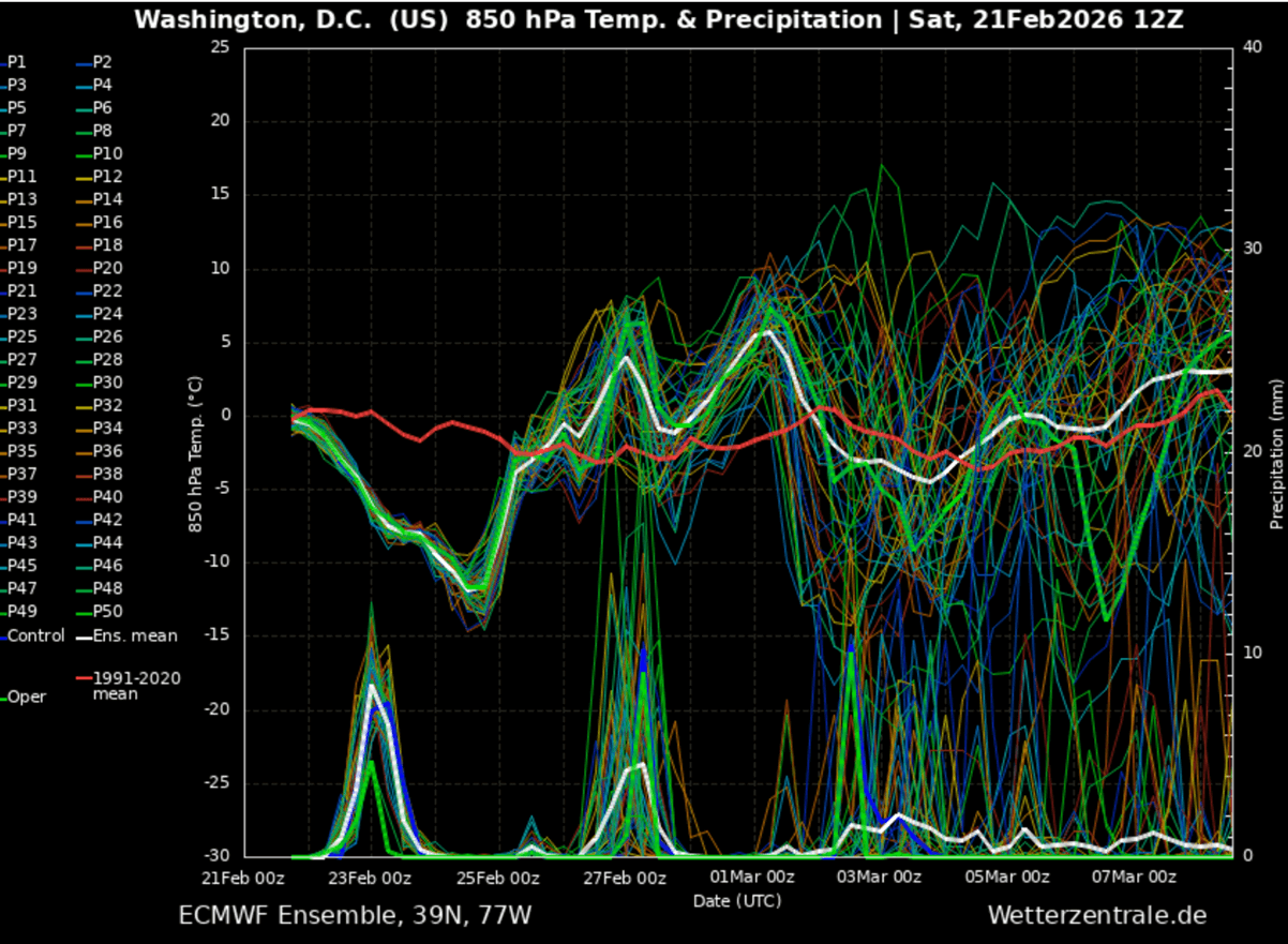 polar-vortex-winter-storm-hernando-noreaster-bomb-cyclone-snow-blizzard-florida-united-states-meteogram-washingtonDC
