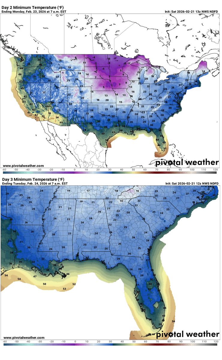 polar-vortex-winter-storm-hernando-noreaster-bomb-cyclone-snow-blizzard-florida-united-states-minimum-temperature