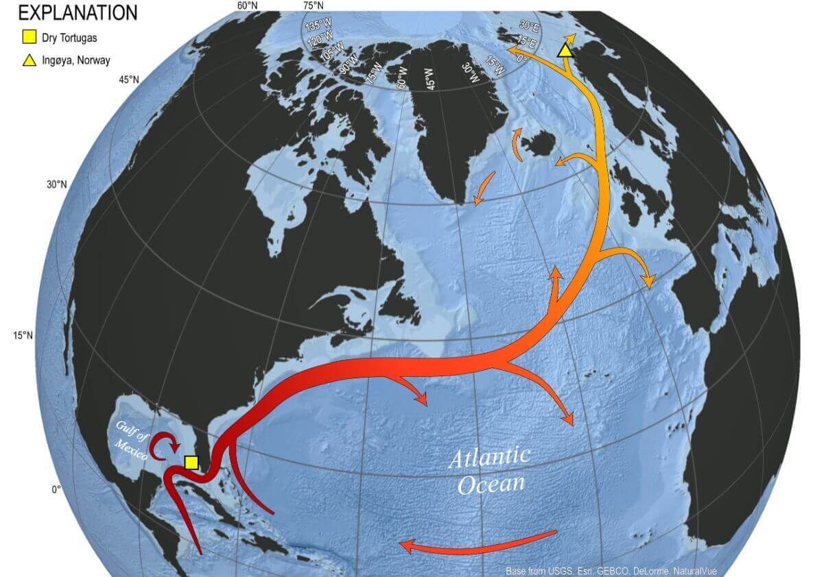 gulf-stream-atlantic-ocean-current-amoc-location-schematic-weather-flow-united-states-north-america-seasonal-change