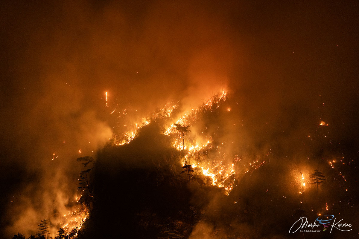 monte-amariana-wildfire-containment-tolmezzo-carnia-italy-august-2026-fire-closeup