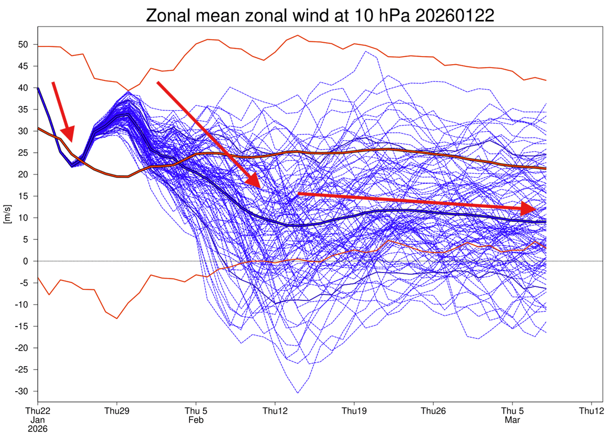 polar-vortex-10-mb-strength-ecmwf-wind-forecast-stratospheric-warming-feburary-2026