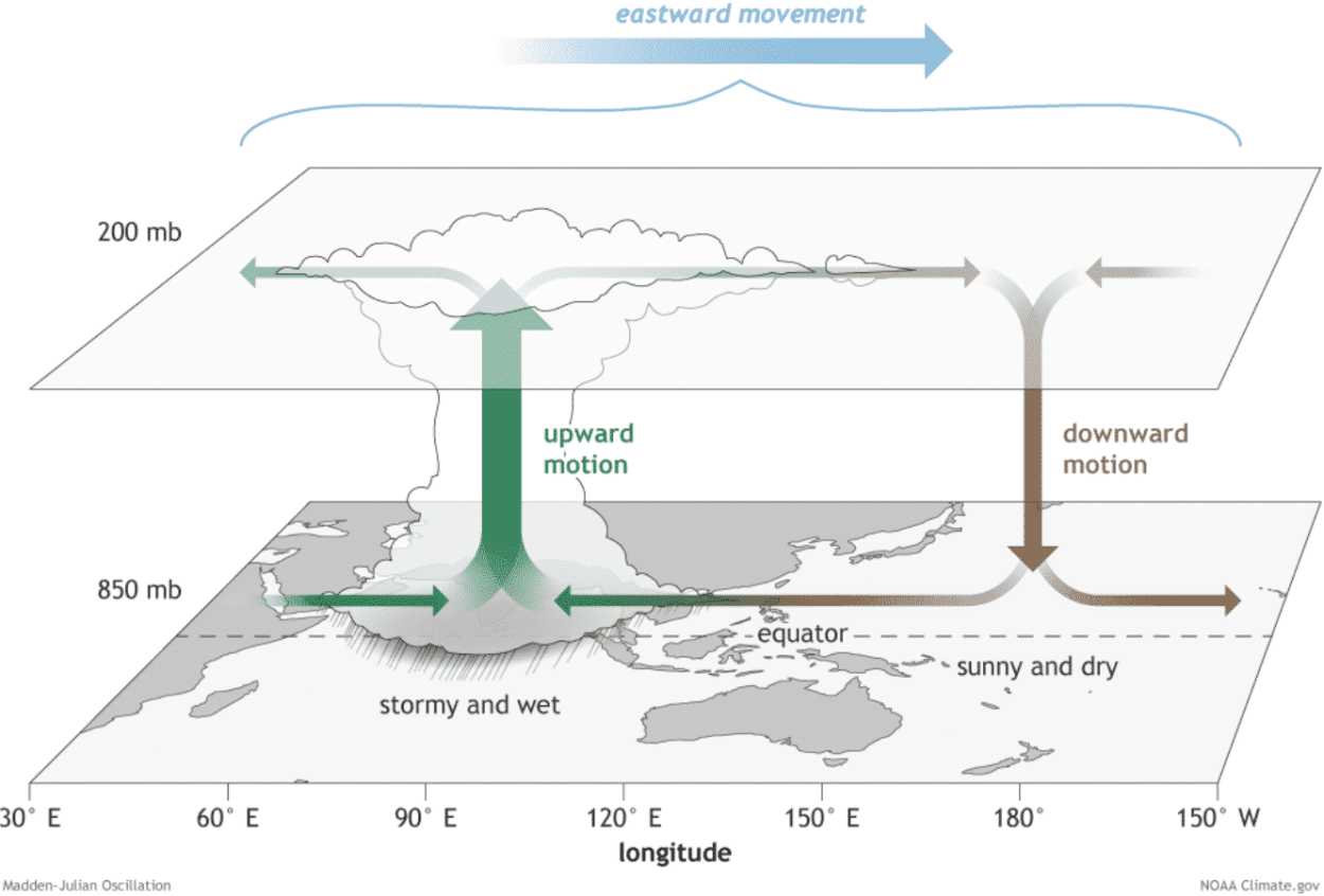 weather-forecast-february-polar-vortex-united-states-canada-mjo-wave-circulation