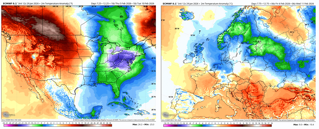 winter-february-2026-week-2-temperature-anomaly-forecast-united-states-canada-polar-vortex-cold