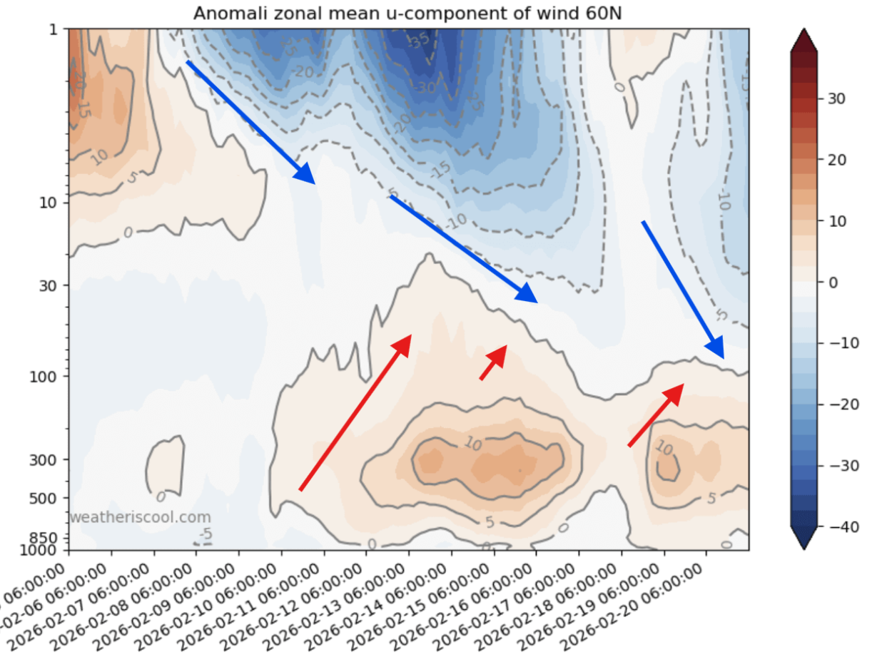winter-polar-vortex-collapse-united-states-canada-vertical-atmospheric-levels-zonal-wind-forecast-stratospheric-warming-interference