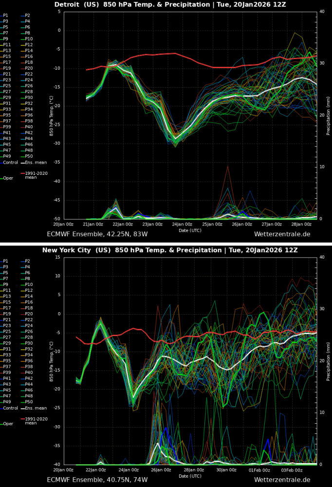 winter-storm-fern-snow-ice-extreme-cold-polar-vortex-united-states-detroit-new-york