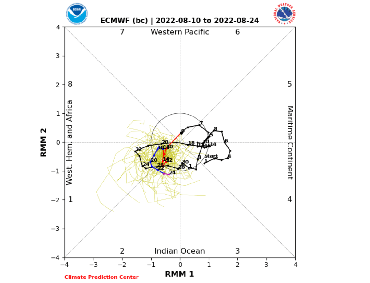 weather-forecast-atmospheric-wave-august-mjo-circulation-phase-diagram-ecmwf-ensemble