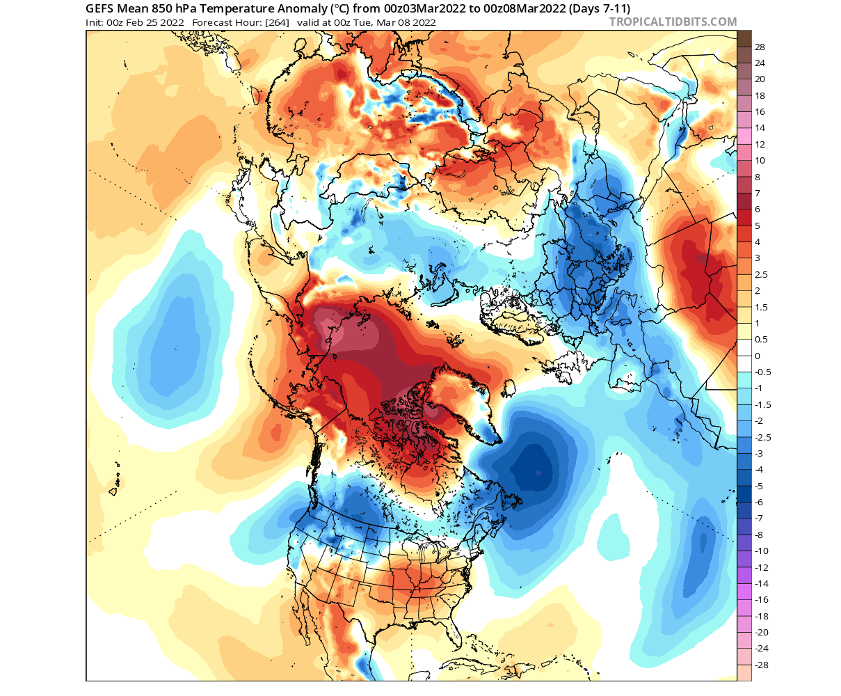 winter-weather-forecast-polar-vortex-march-2022-united-states-temperature-anomaly-early-month-cold-pattern