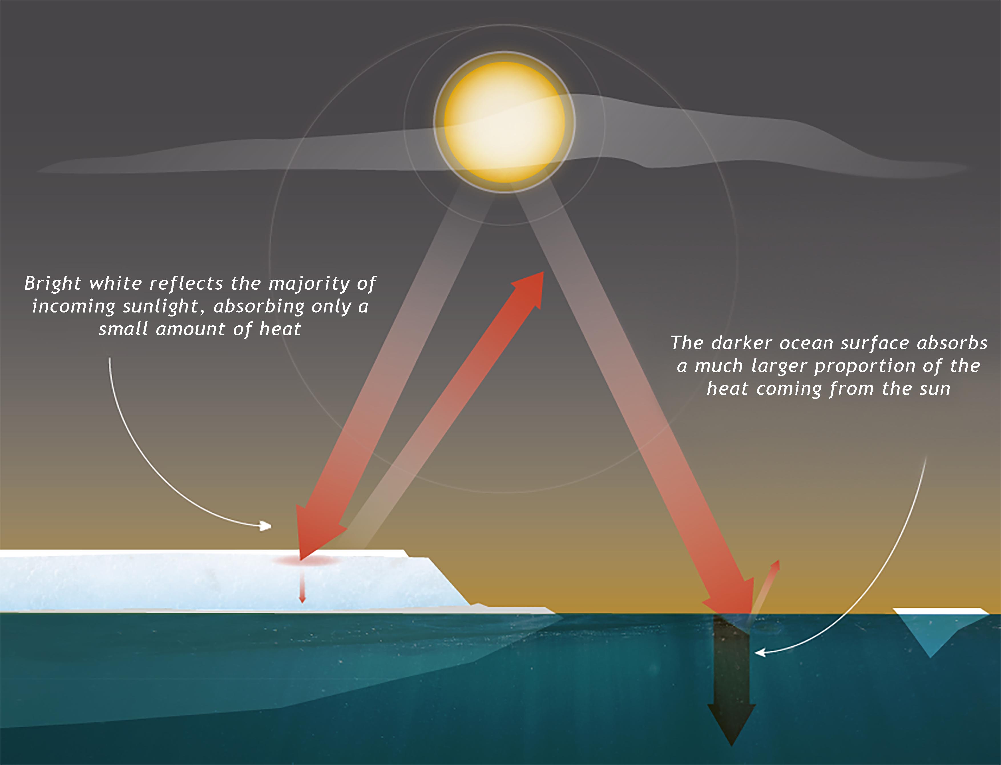 Arctic-sea-ice-extent-growth-winter-season-antarctica-abrupt-decline-sf-albedo