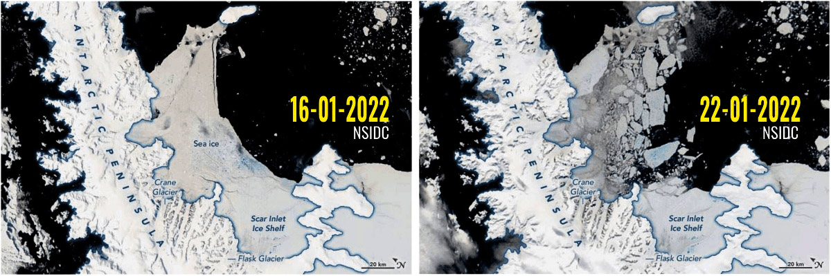 arctic-sea-ice-extent-highest-since-2009-antarctic-sea-ice-all-time-low-january-climatology-larsenb