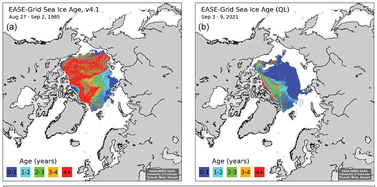 arctic-sea-ice-forecast-september-2022-approaching-annual-minimum-age