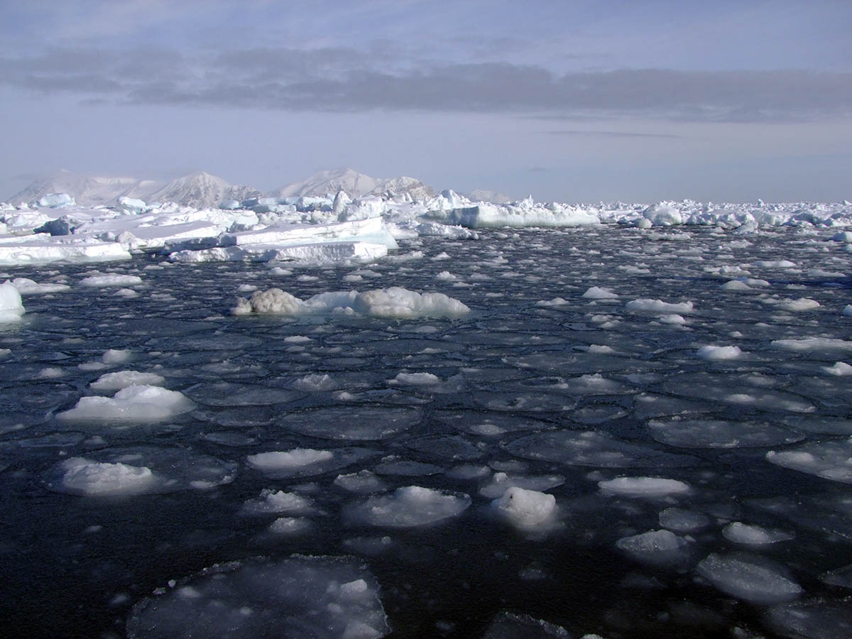 arctic-sea-ice-third-highest-seaice1