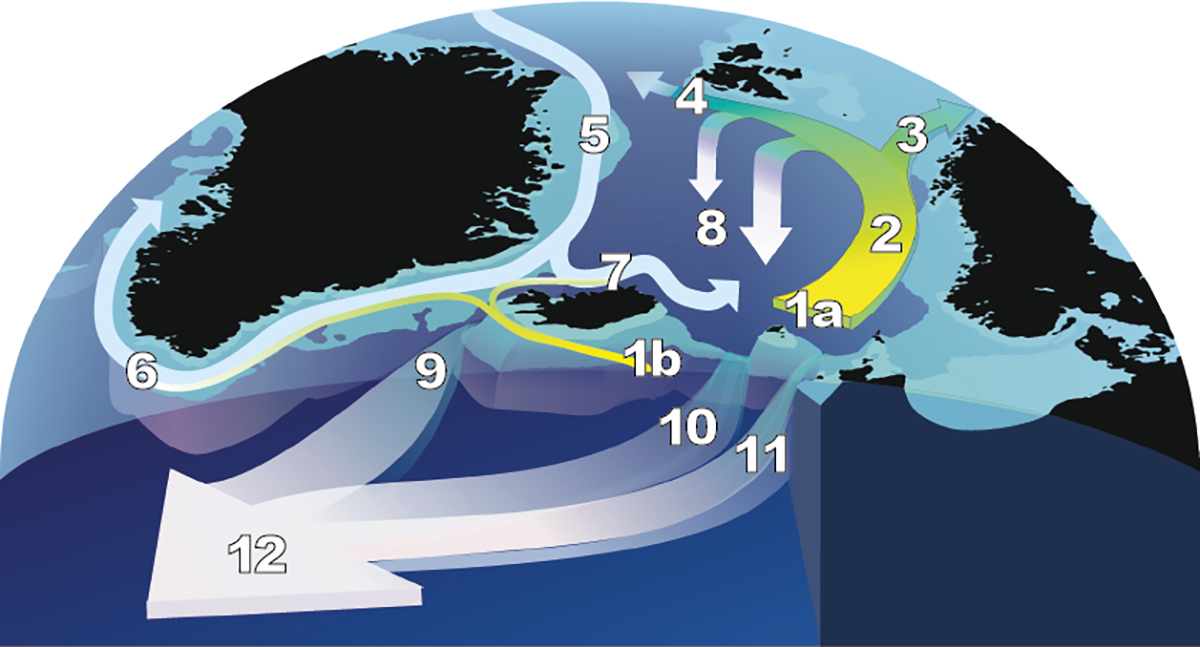 impressive-cold-blob-north-atlantic-global-warming-glaciers-greenland-iceland-norway-nadw