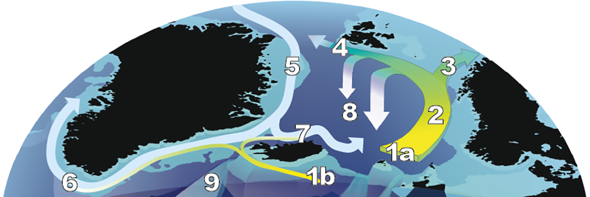 impressive-cold-blob-north-atlantic-global-warming-glaciers-greenland-iceland-norway-nadw1