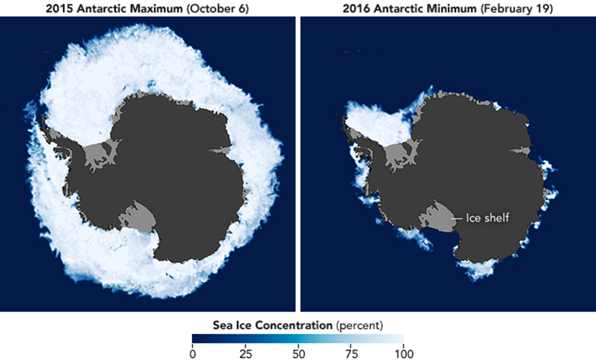 powerful-heat-wave-affecting-antarctic-continent-unprecedented-temperatures-40-degrees-above-average-minmax