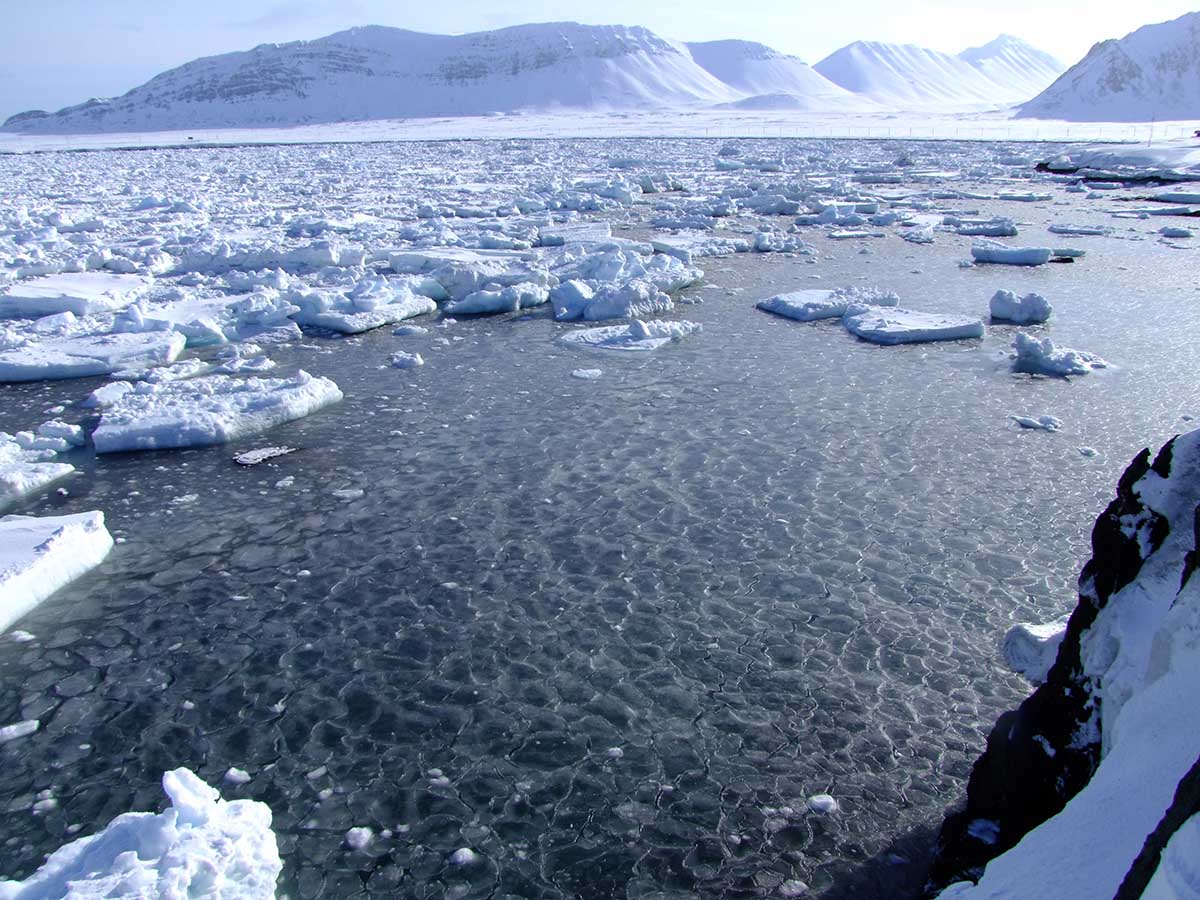 the-cryosphere-11-nilas