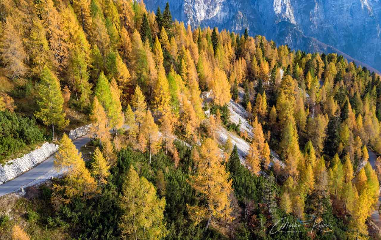 autumn-heatwave-france-england-indian-summer-trees