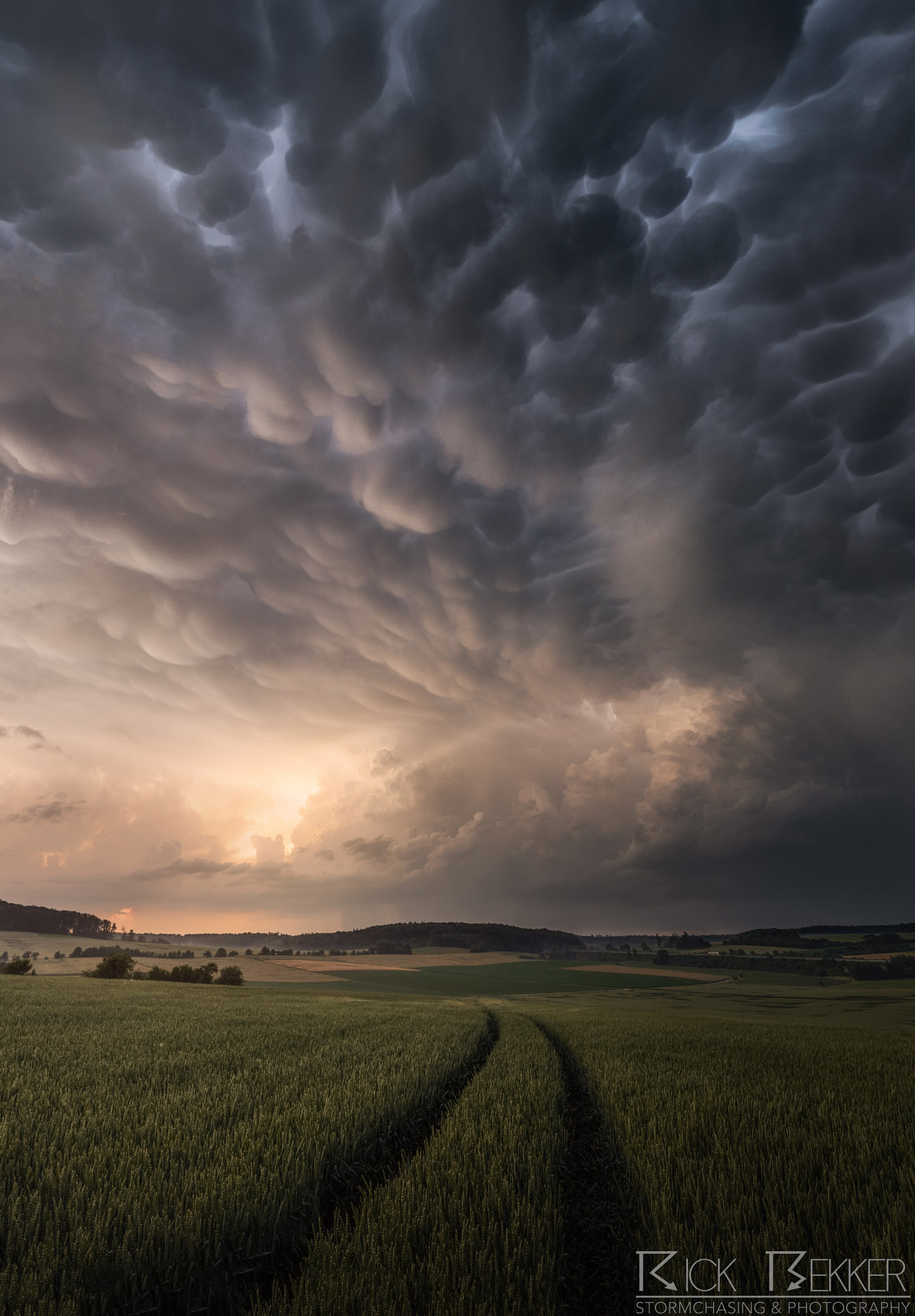 Rick-Bekker-The-Updraft