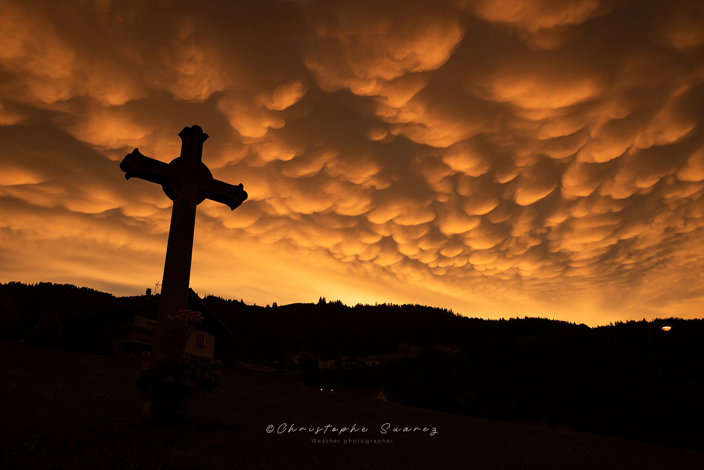 christophe-suarez-mammatus