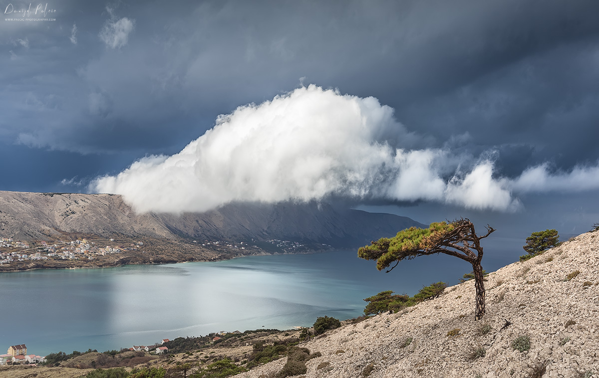 danijel-palcic-cloud