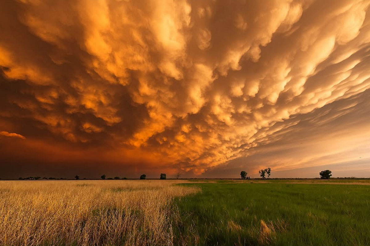 jonas-piontek-mammatus