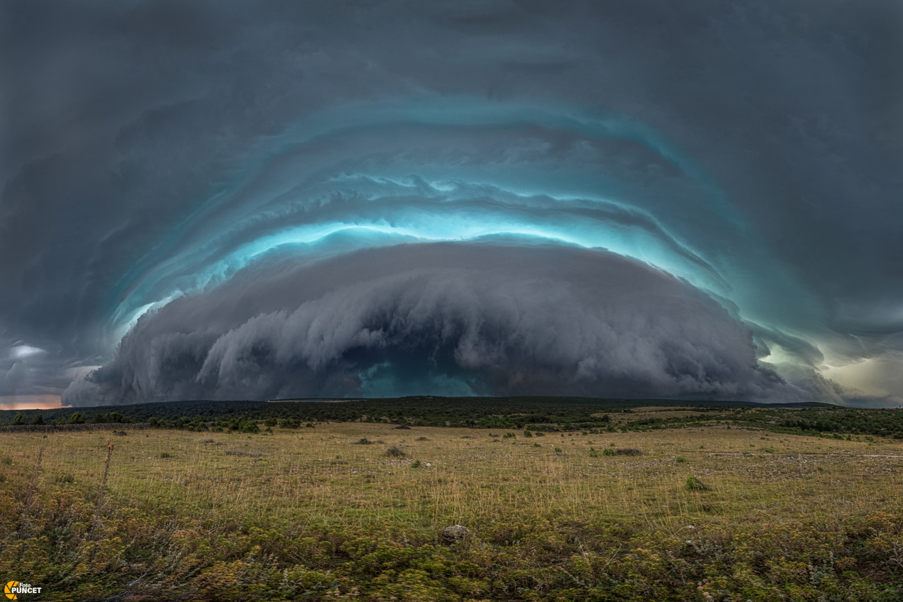 sandro-puncet-shelf-ustrine